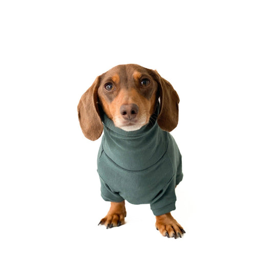Dachshund Turtleneck Sweater (Fleece) - Green