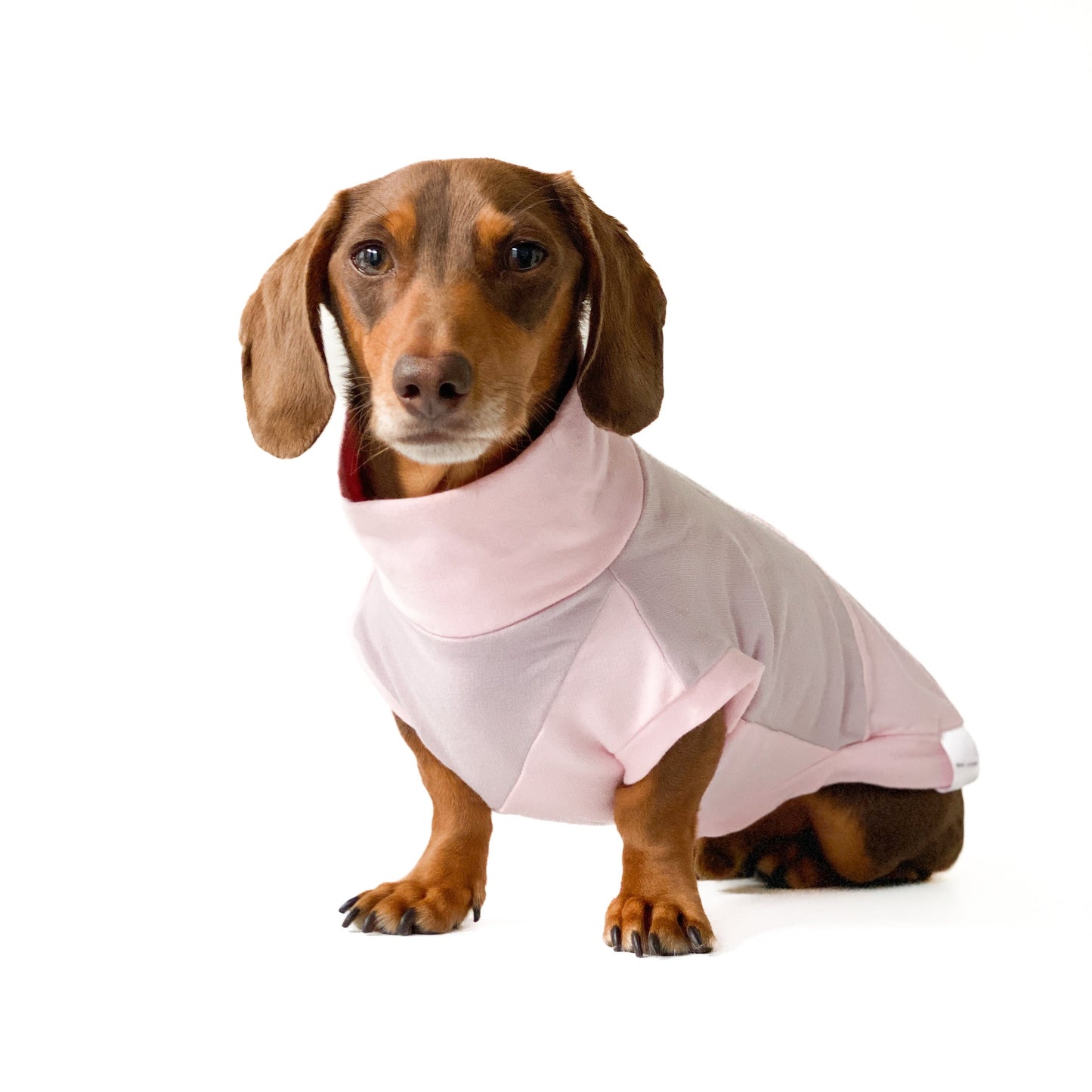 Dachshund Crewneck sweater - Two-toned Pink and Lavender