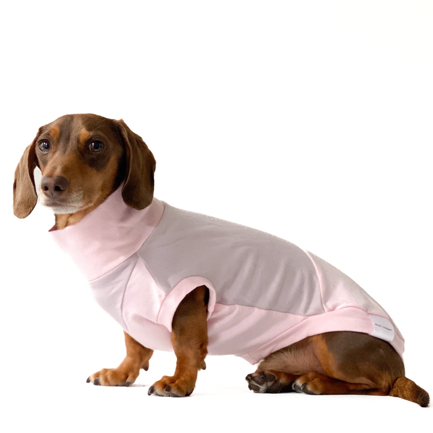 Dachshund Crewneck sweater - Two-toned Pink and Lavender