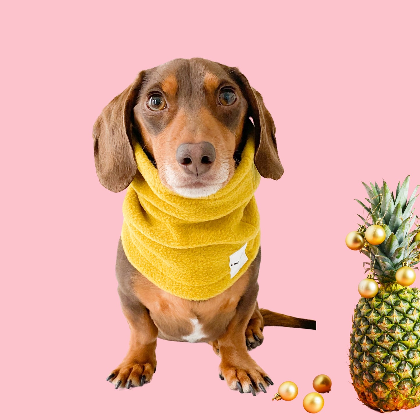 Dog Snood (Spicy Pineapple)