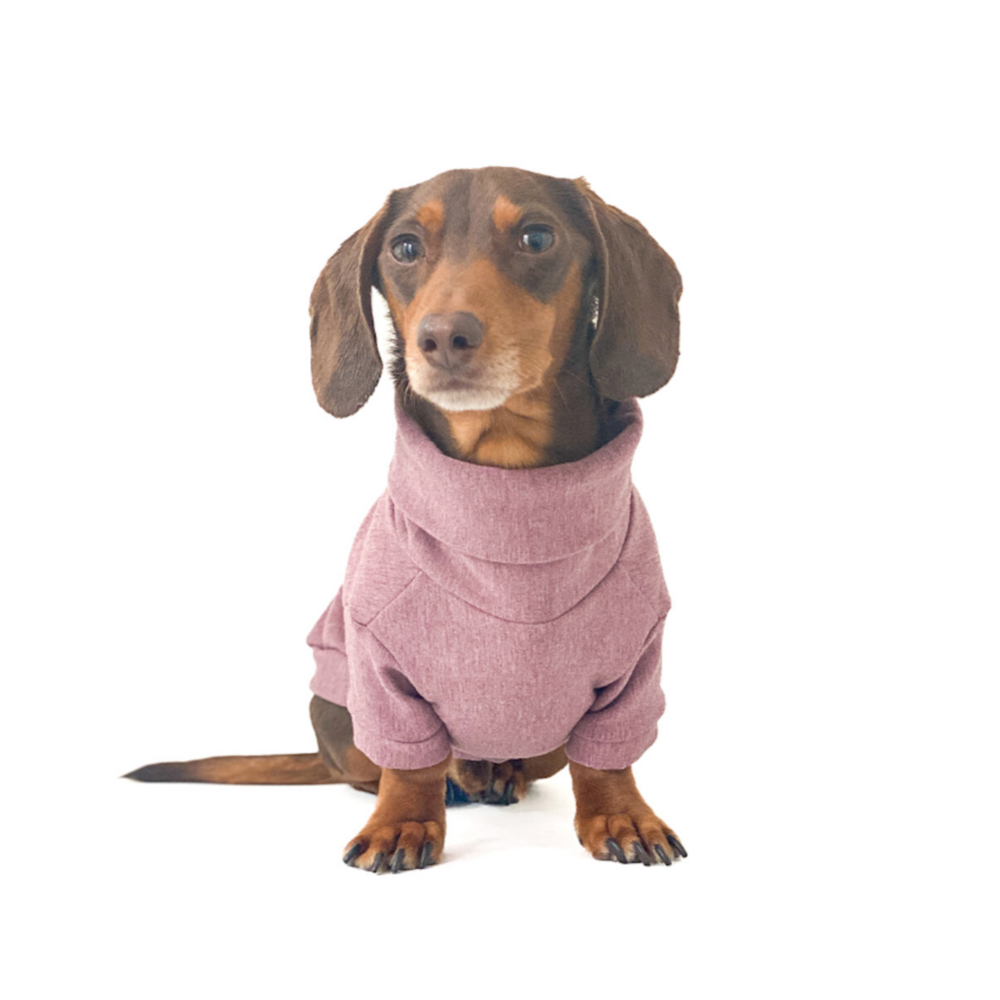 Dachshund Turtleneck Sweater (Fleece) - Heather Rose Brown
