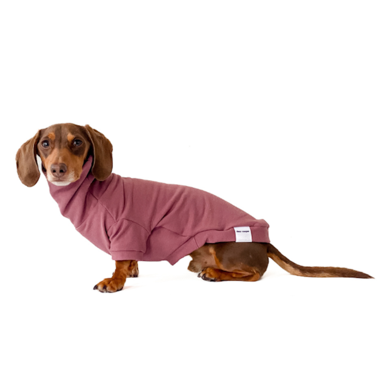 Dachshund Turtleneck Sweater (Fleece) - Rose Brown