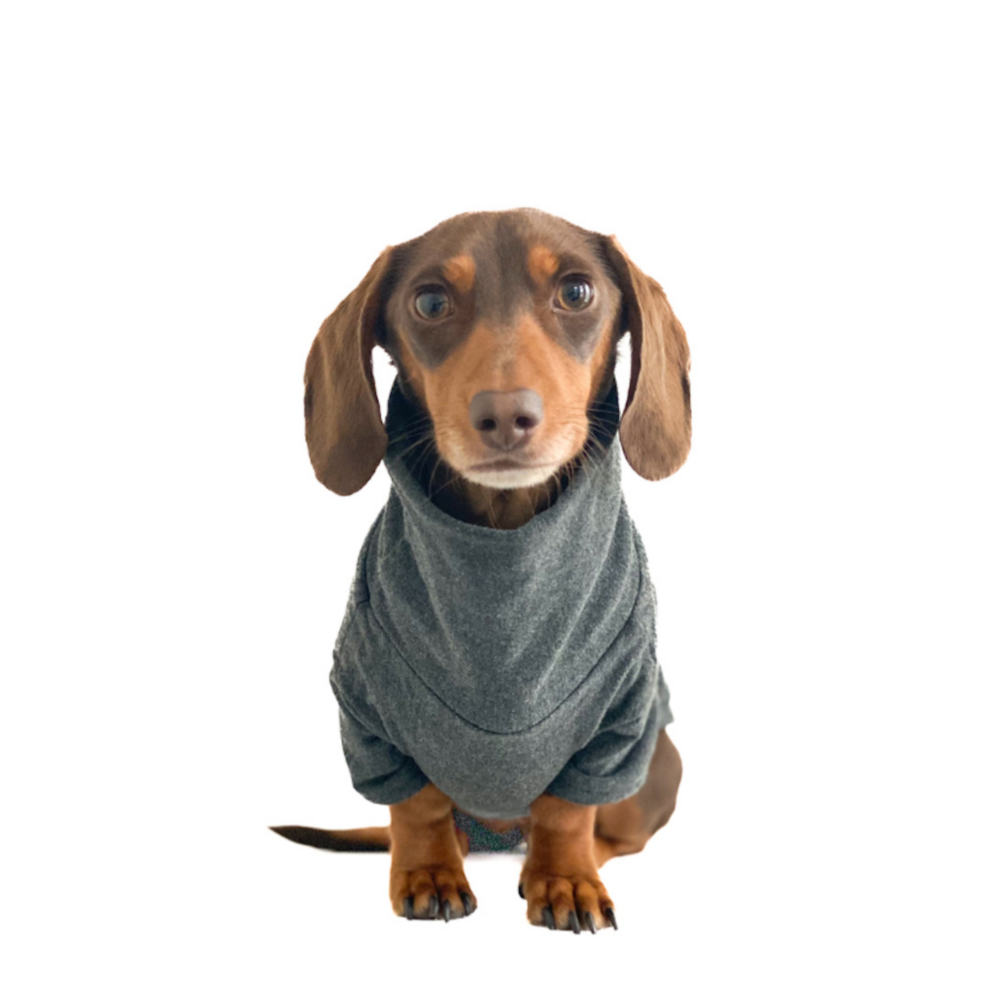 Dachshund Turtleneck Sweater (Fleece) - Charcoal