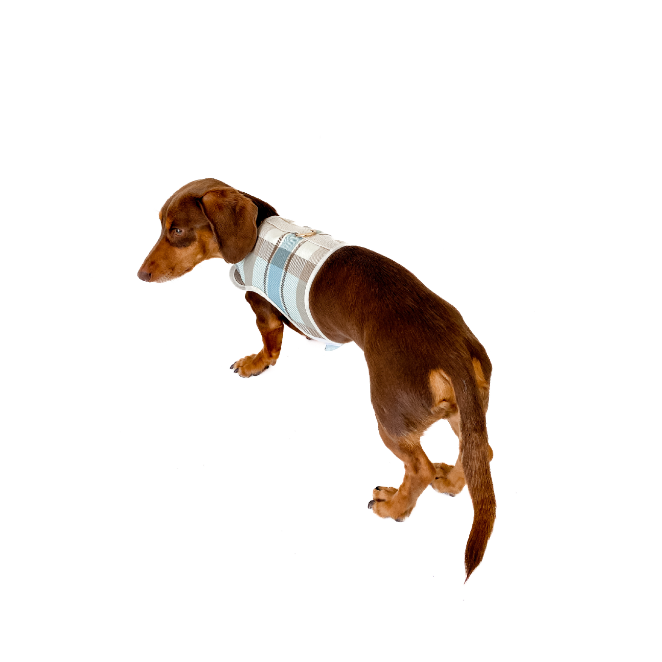 Sample! Dog Vest Harness - Plaid