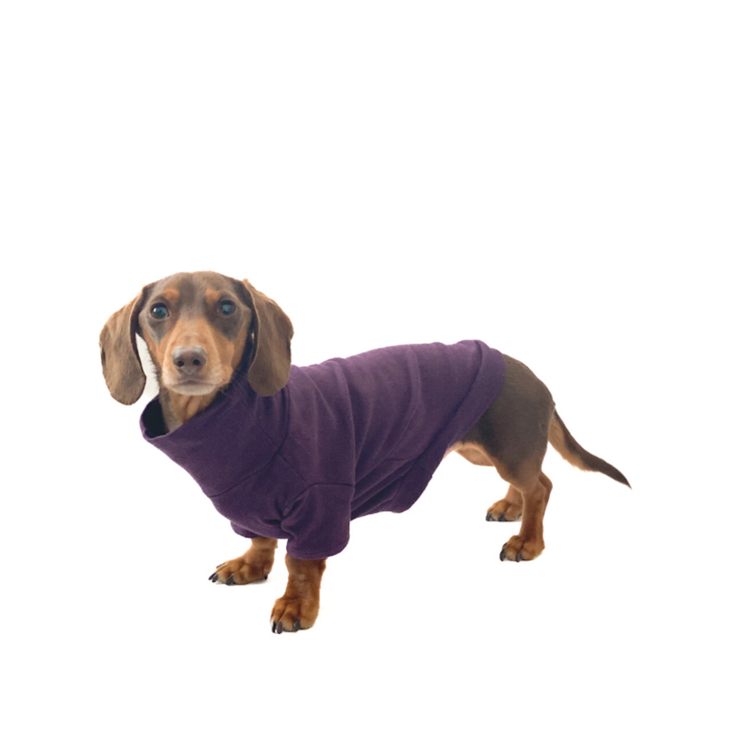 Dachshund Turtleneck Sweater (Fleece) - Purple