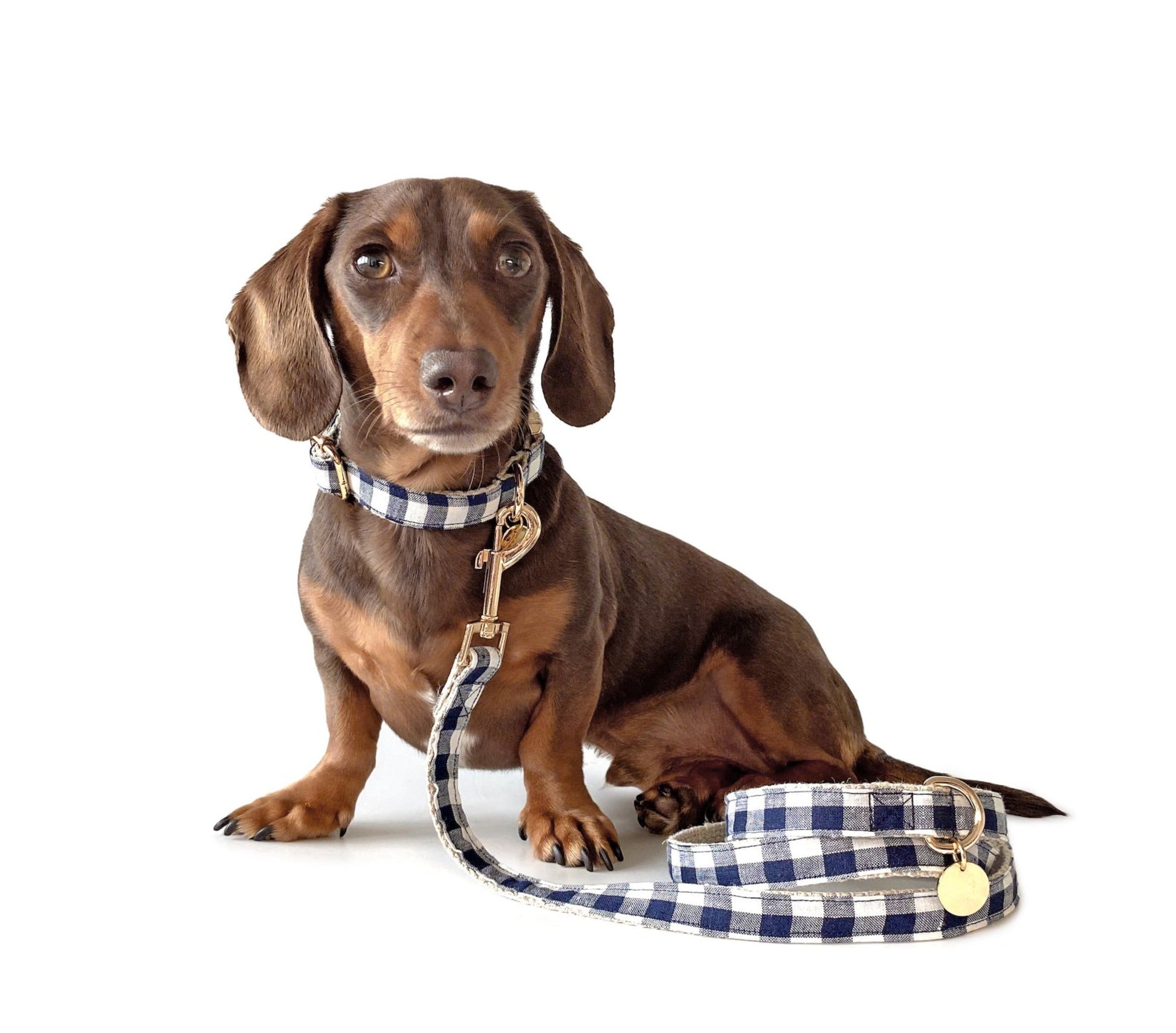 Dog Hemp Collar - Navy gingham Extra Small, Small and Medium - Dear Cooper